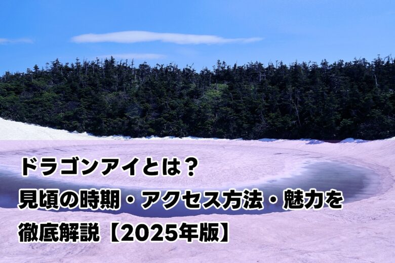 ドラゴンアイとは？見頃の時期・アクセス方法・魅力を徹底解説【2025年版】